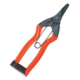 Koshiji Kakishin shears S-16