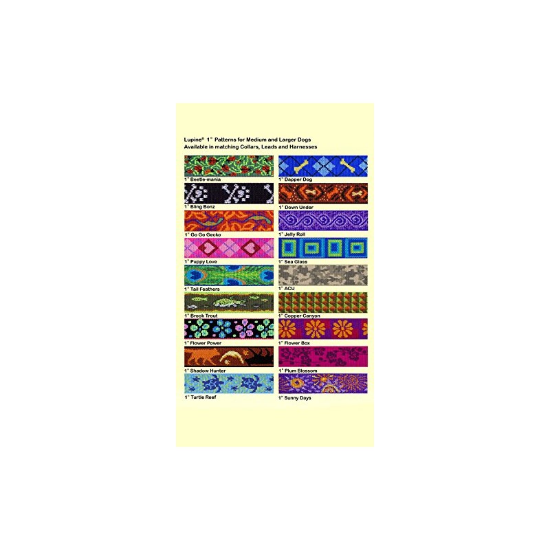 LupinePet Originals 1" Bling Bonz 15-22" Martingale Collar for Medium