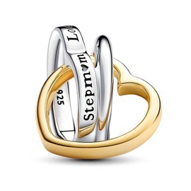 NUNUYAYA Women's Charm Pendant for Bracelet 925 Sterling Silver Golden Family Double Ring of Love Charms Beads Fits Bracelet Necklace Charm Pendant for European Bracelets for Women Girls, Cubic