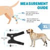 Supet Dog Leg Brace for Back Leg - Hock &