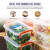 We Can Source It Ltd - Blue Day Dots Food