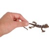 HAPPY DEALS ~ Lizard Figures | 12 Pc | Reptile