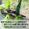 Raku Nourakusha Enchanting Strap "Anything Tsukaeru" (50 Pieces) Repeat Tie,