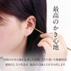 耳かき 竹 匠の技 高級 煤竹耳かき (2本組) G-2153 耳掻き #9847722