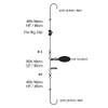 Cox & Rawle Cod Sea Fishing Rig Size 4/0 With