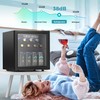 EUHOMY 48 Can Beverage Refrigerator cooler-Mini Fridge Glass Door for