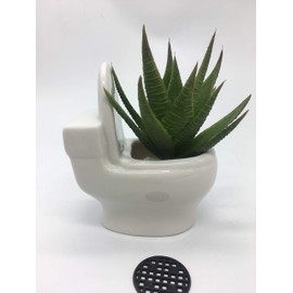 Cute Toilet Bowl Shaped Ceramic Succulent Cactus Flower Plant Pot for Home Garden Office Desktop Decoration (Plant Not Included)