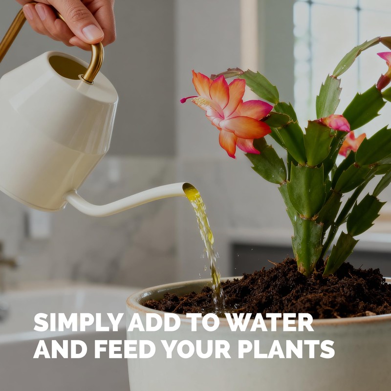 Christmas Cactus Fertilizer – Liquid Plant Food for More Blooms,