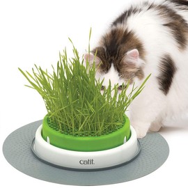 Catit Senses Grass Planter