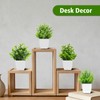 SMART DIRECT 4 Pack Small Fake Plants Mini Artificial Plants
