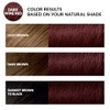 Lymznus Champú Tinte Instantáneo Rojo Vino Oscuro Canas Color Natural