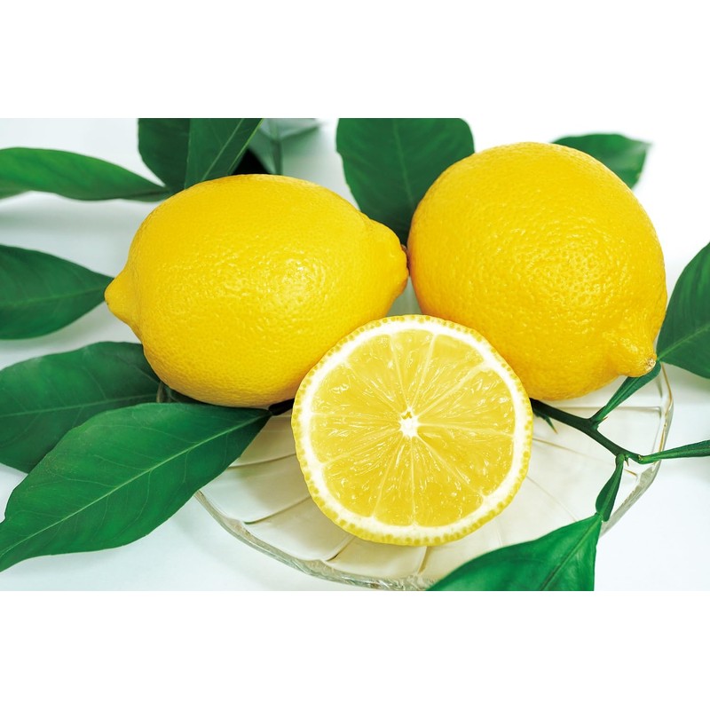 Kanematsu Seicha Cold Brew Tea Bag Set Pack (Lemon Sencha