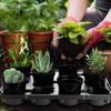 BTPLASTIK 12 Cell Round Nursery Pots Trays 8 Pack, Sturdy