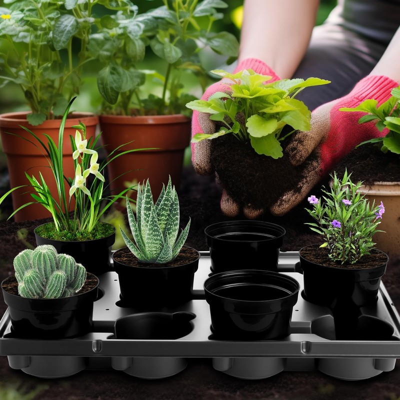 BTPLASTIK 12 Cell Round Nursery Pots Trays 8 Pack, Sturdy