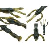 Ebison Boy 2.7 Inch Lake Shrimp