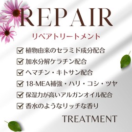 The Luxury Original Extreme Treatment SILKY Salon Exclusive Product, Organic Hematin, Ceramide, Argan Oil Blend, Hair Care, 10.2 oz (290 g)