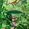 andergi 13" Bird Feeder Rain Cover,Bird Feeder Dome,Hummingbird Feeder Squirrel