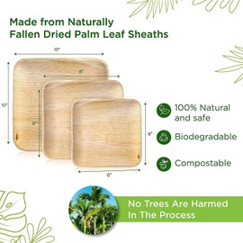 TRULY ECO 40 PCS 8" Square Palm Leaf Plates Like Bamboo Plates Disposable Eco Friendly 100% Natural Leaf Plates Compostable Appetizer Plates Disposable Perfect for Parties, Sustainable Events