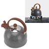 Whistling Kettle 2.5L Capacity Stainless Steel Stovetop Teapot for Water
