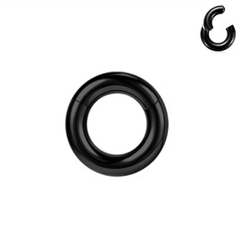BodyAce Black Hinged Segment Clicker PA Rings, 2G 4G 6G 8G 10G 12G Large Spring Action BCR Rings, Surgical Steel Septum Nose Rings Ear Gauges Earrings Hoops [6G(4mm),Hoops:8mm]