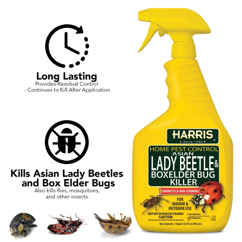 Harris Asian Lady Beetle and Box Elder Killer, Liquid Spray