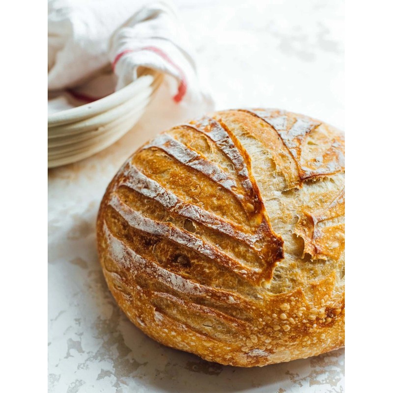 Heritage Sourdough Dehydrated SOURDOUGH STARTER Strong 100+ Yrs Old SAN