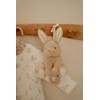 Little Dutch Baby Bunny 8426 Musical Box Rabbit Newborn Naturals