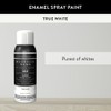Magnolia Home by Joanna Gaines Enamel Interior/Exterior Spray Paint for