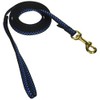 6' Pet Leash - Extra Small - Step 1 Blue