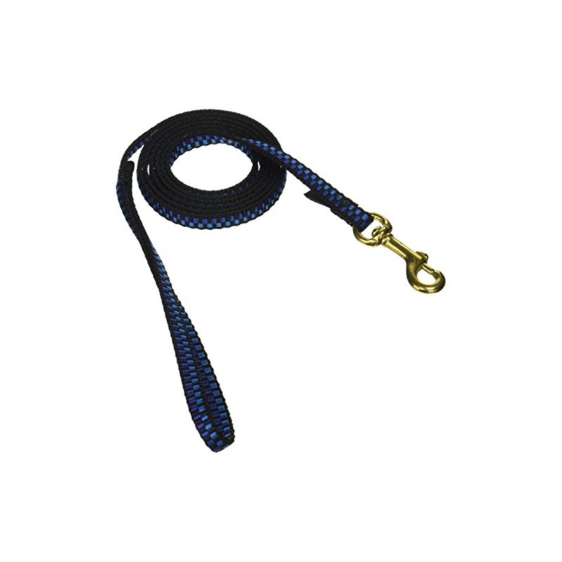 6' Pet Leash - Extra Small - Step 1 Blue