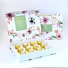 Tea Blossoms Assorted Blooming Tea Balls Sampler Gift Box, 12