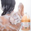 Ginger Lily Farms Botanicals 3-in-1 Shampoo, Conditioner & Body Wash,