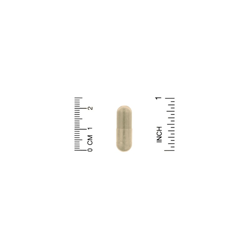TheraNeem Naturals, Neem Leaf, 480 mg, 120 Veg Caps