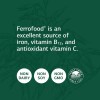 Standard Process Ferrofood Whole Food Antioxidant, Healthy Blood and Hemoglobin
