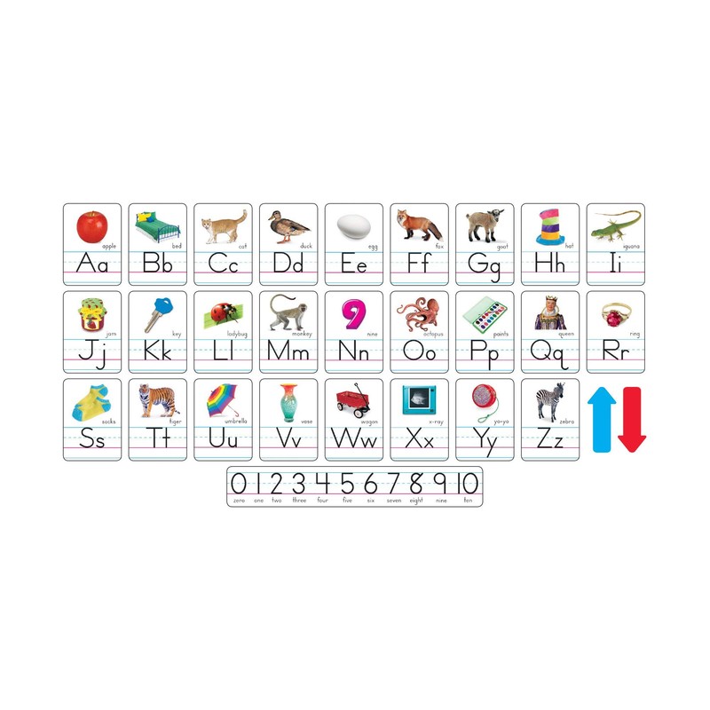 Trend Photo Alphabet Cards Zaner-Bloser Manuscript Bulletin Board Set, ABC