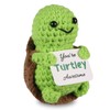 WenmthG Pocket Hug Turtle Lucky Charm, Lucky Turtle Positive Gifts,