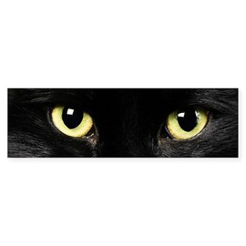 CafePress Black Cat Eyes Sticker (Bumper) 10"x3" Rectangle Vinyl Bumper Sticker Car Decal