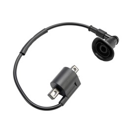 Topteng CDI BOX Igniter Ignition Coil for Polaris ATV PREDATOR/SCRAMBLER 50/90 2004-06, for Can-Am ATV Mini DS 50/90 2002-06, for Aeon ATV Cobra 50 2001-11, for CPI ATV Crab 50/100 2003-04
