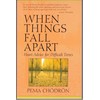 When Things Fall Apart: Heart Advice for Difficult Times