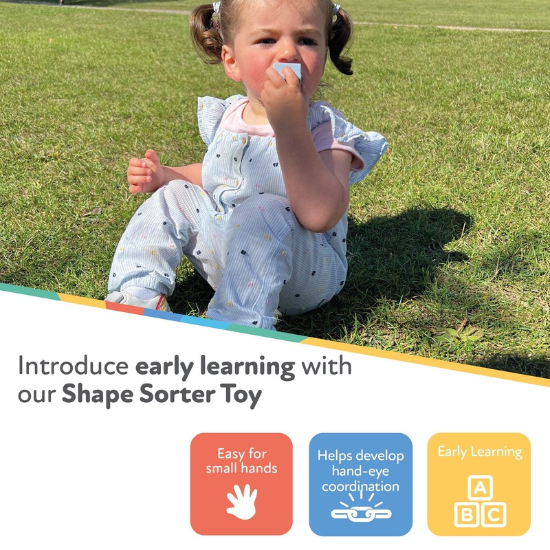 Nuby Shape Sorting Toy, Multicolour, One Size