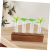 KONTONTY 1set Glass Bud Vases Stand for Hydroponic Plant Propagation