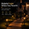 Solar Pathway Lights for Outdoor Walkways – Warm LED Garden