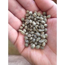 Howells Fire Roast 5 lbs Green Coffee - Tanzania peaberry - specialty grade green beans