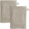 Erwin Müller Achberg Wash Mitt Pack of 2 Walk Terry