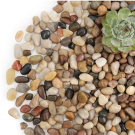 NUPICK 12lb River Rocks for Plants Indoor, 1/5 Inch Mixed Pebbles for Vase Fillers, Decorative Pea Gravel for Fish Tank, Natural Polished Stones for Succulent, Bonsai, Landscaping, Bird Baths
