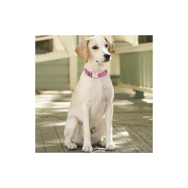 Collares de Perro Personalizados con Nombre, Grabado Personalizado Perros Collar