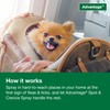 Advantage Household Spot & Crevice Spray | Kills Fleas &