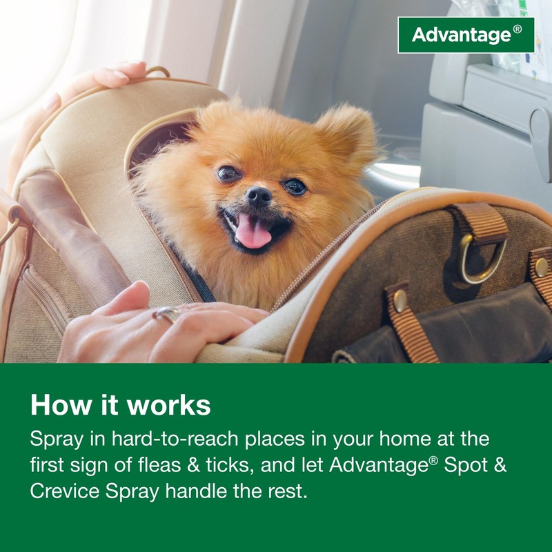 Advantage Household Spot & Crevice Spray | Kills Fleas &