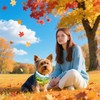 Pai Sence 7 PCS Fall Dog Bandanas for Small Dogs