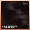 Clairol Textures & Tones Permanent Hair Dye, 1N Natural Black